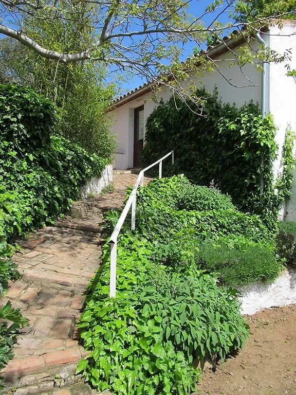 Los Gallos Apartment Aracena