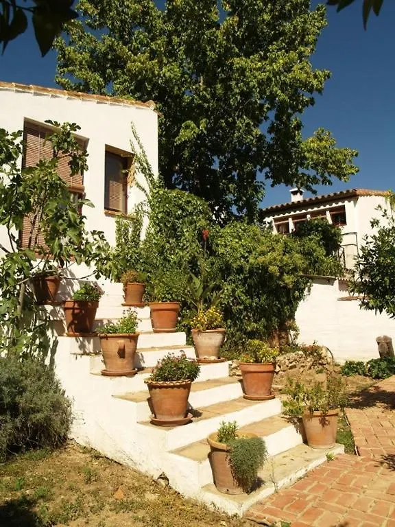 Los Gallos Apartment Aracena